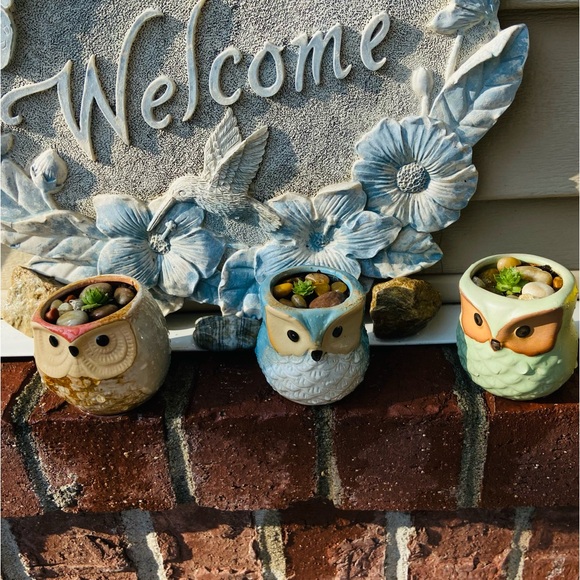 3 Brand New Mini Owl🦉Planters, Great for Mini Live or Faux Succulents or Whatev - Picture 5 of 16